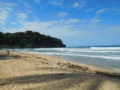 Best in Panama - Wizard beach - Bocas Del Toro