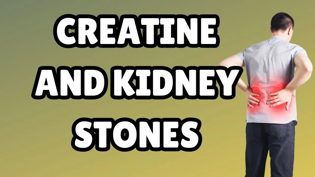 Does Creatine Cause Kidney Stones? Effects of Creatine Supplementation on Kidney Stones combat creatine