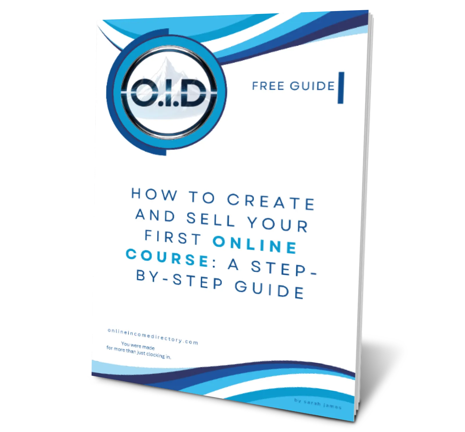 online course guide