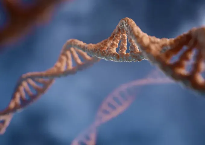 Visual representation of genetic inheritance, including family tree and chromosome patterns