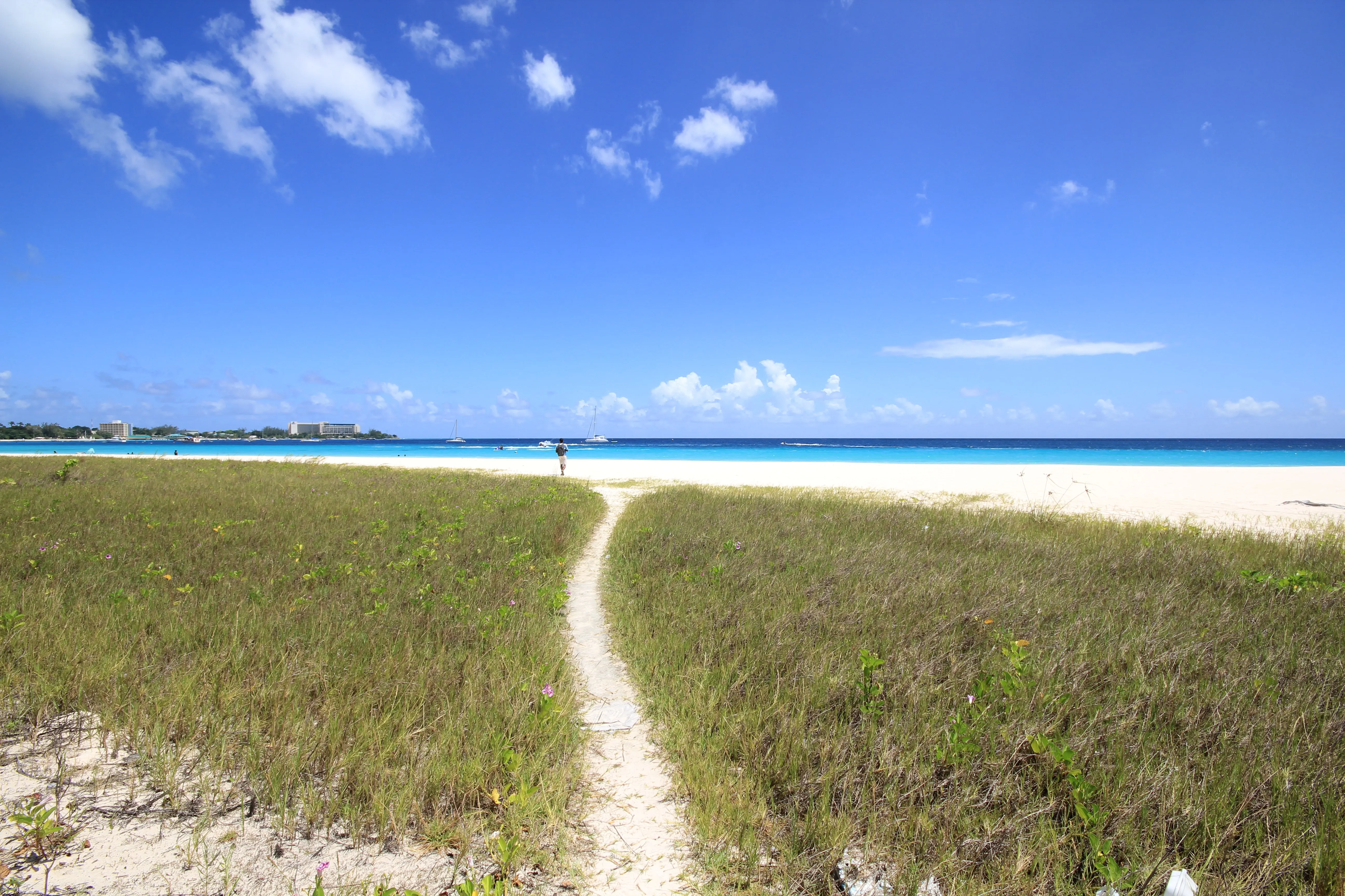 Luxury Barbados Island Tour