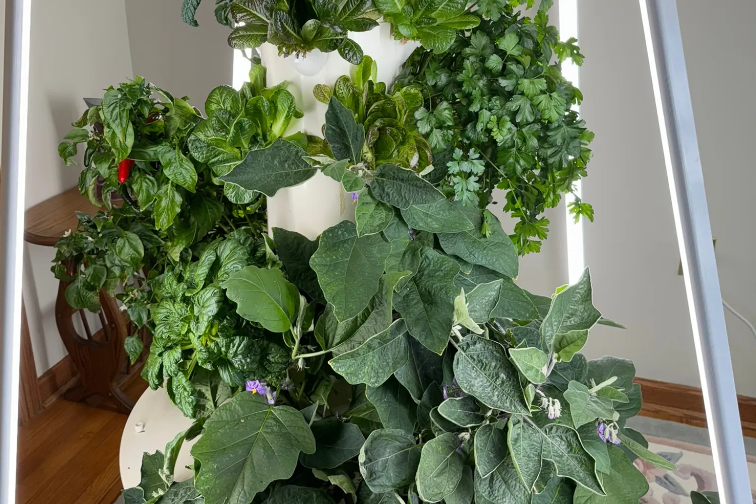 Indoor Tower Garden growing leafy greens, herbs, and vegetables in a compact vertical system.