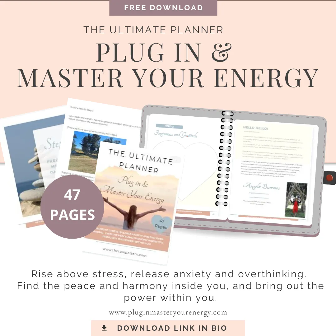 The Ultimate Plug In and Master Yoru Energy Planner