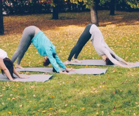 Summer Yoga in the Park