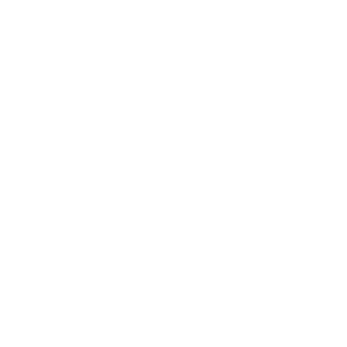 First Kings Holdings LLC Logo