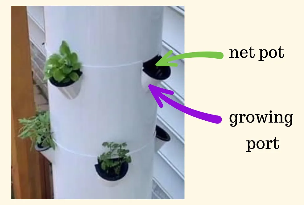 Close-up of Tower Garden seedling in labeled net pot and growing port for hydroponic gardening