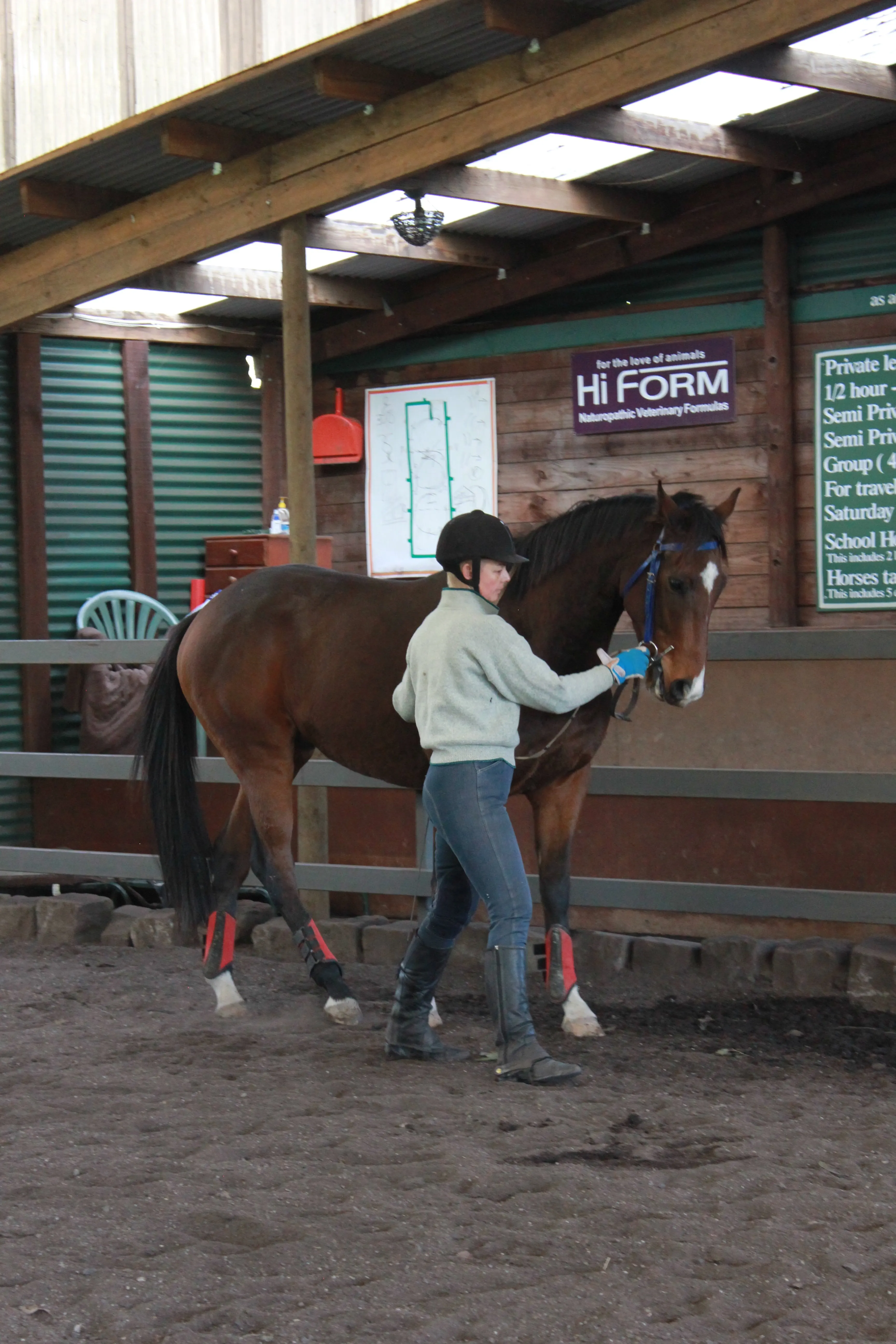 Joe undergoing our in-hand work to continue working on balance and posture in locomotion