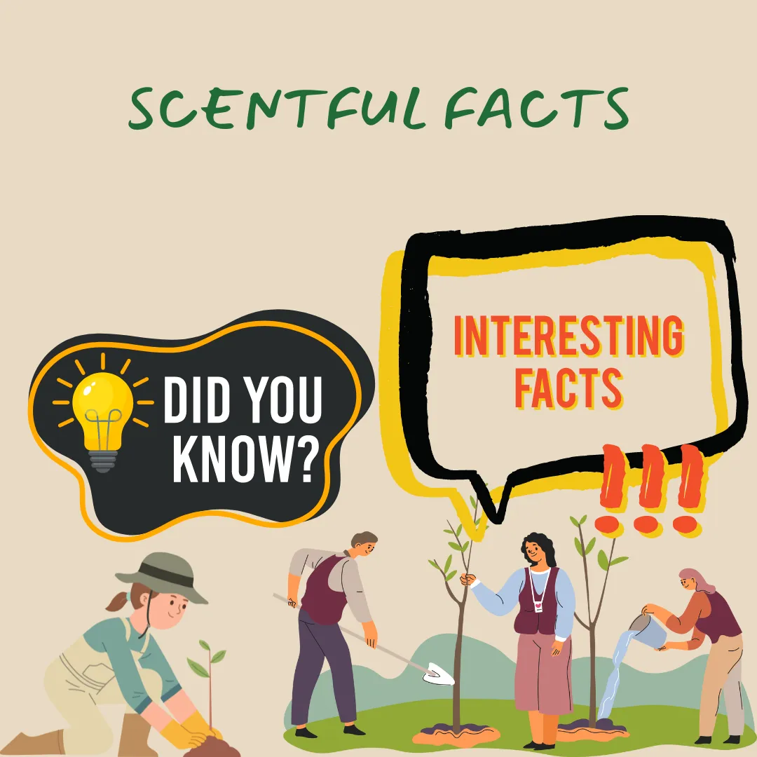 Scentful Facts