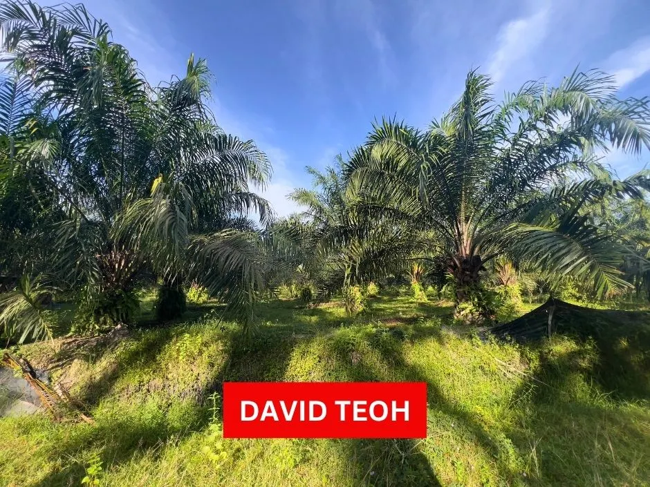 land for sale in sungai jawi penang