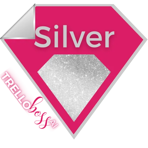 silver icon