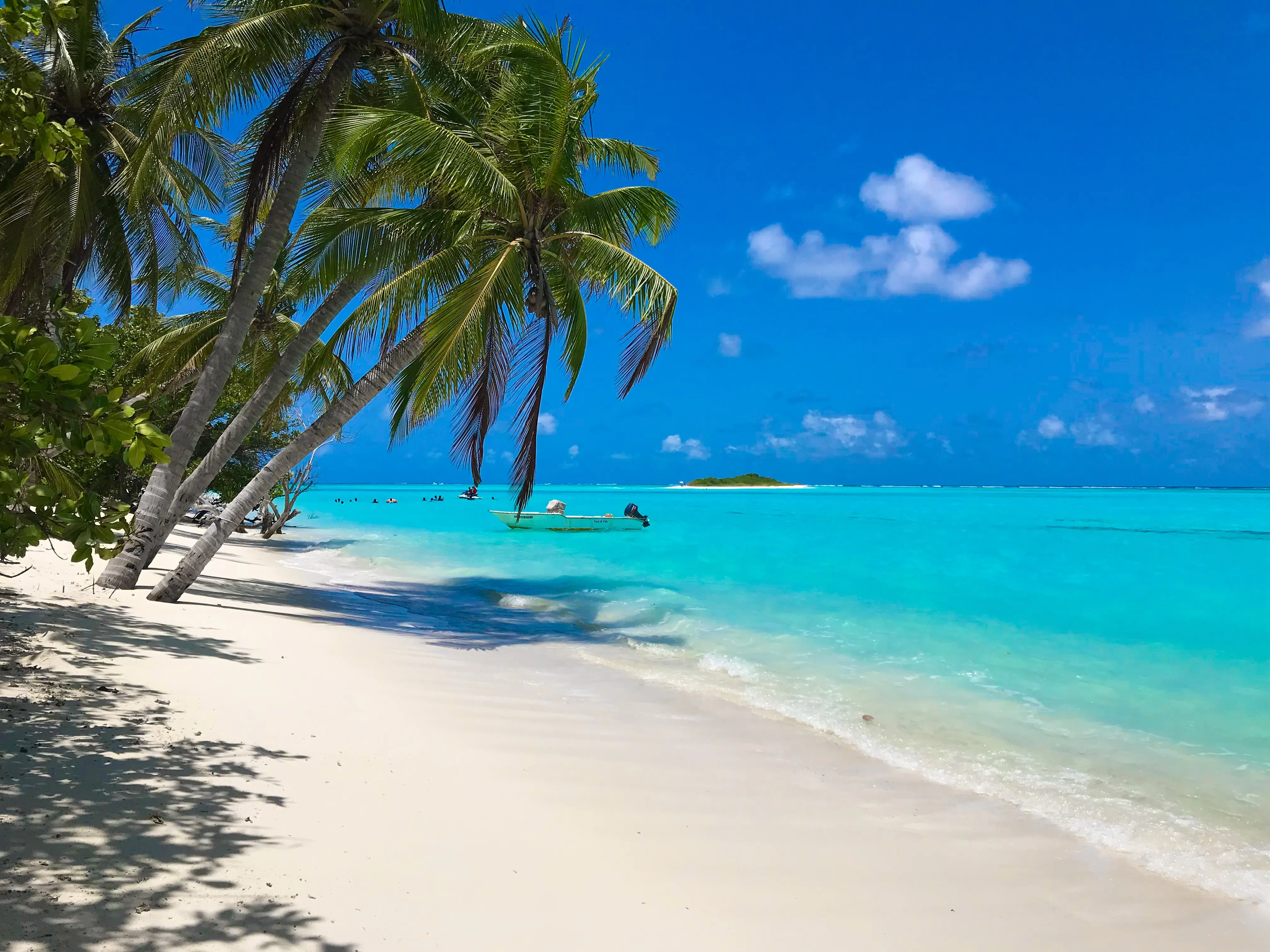 Entrepreneur holidays 