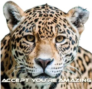 Jaguar logo - Accept You're Amazing