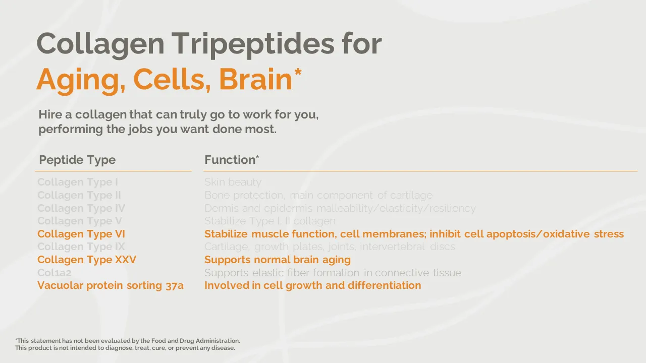 The types of tripeptides that positively impact skin
