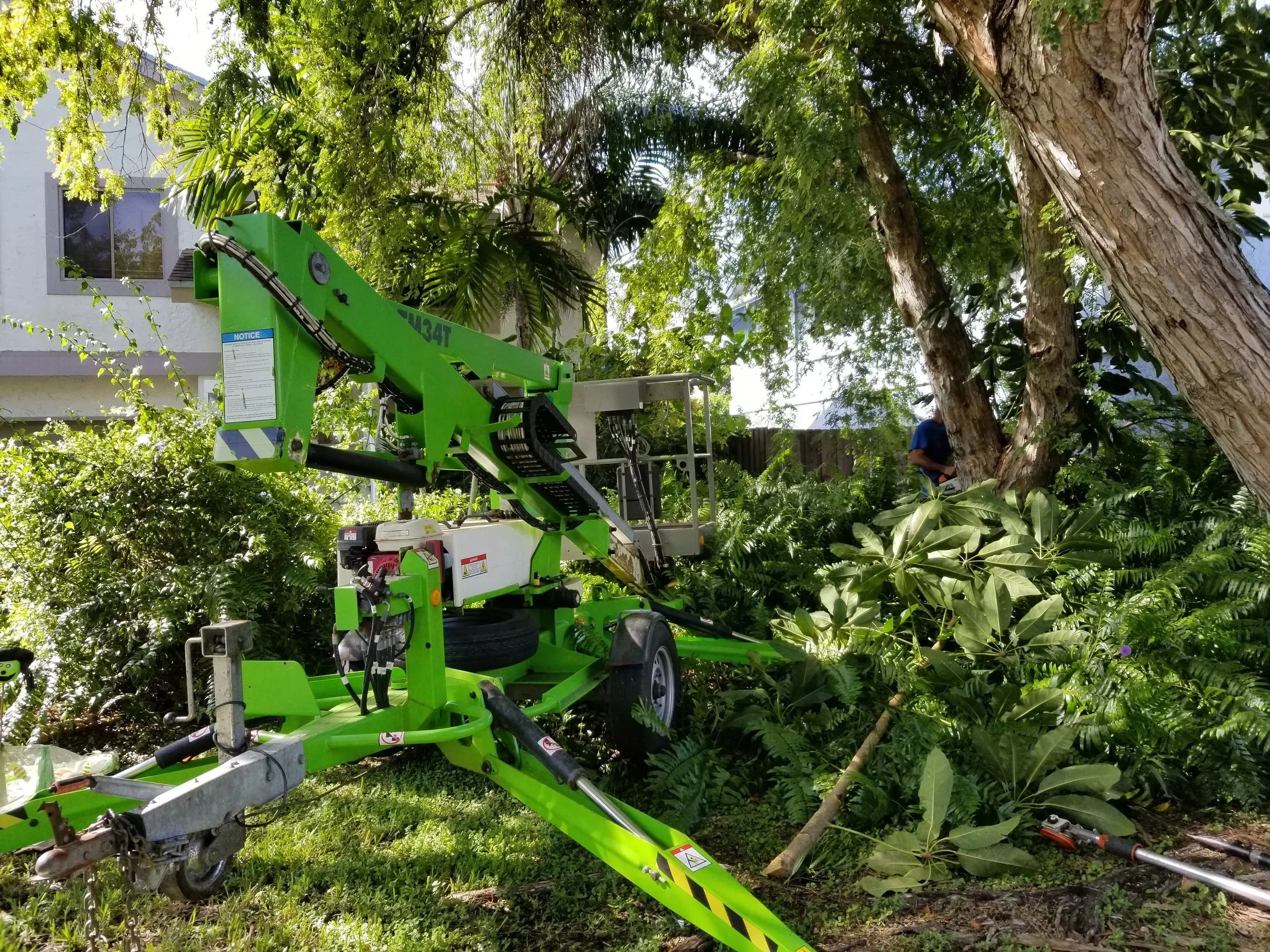 tree services 