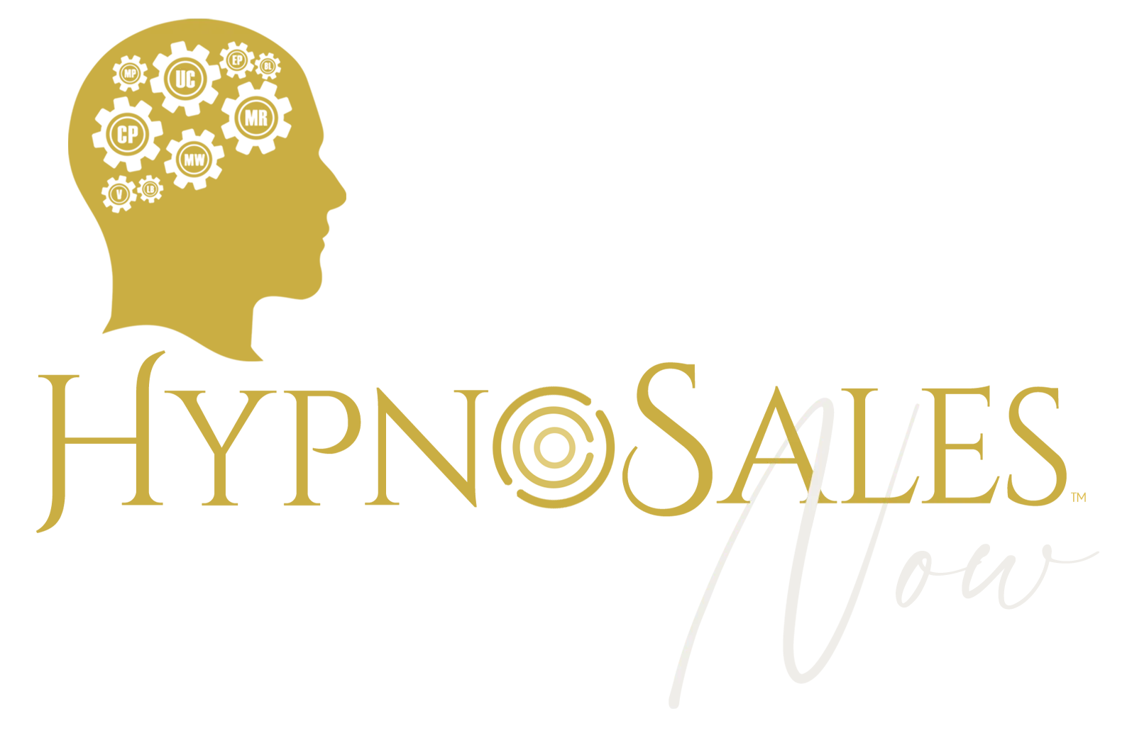 HyonoSales Now - Online Program