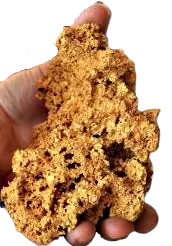 Gold nugget found in the Murchison