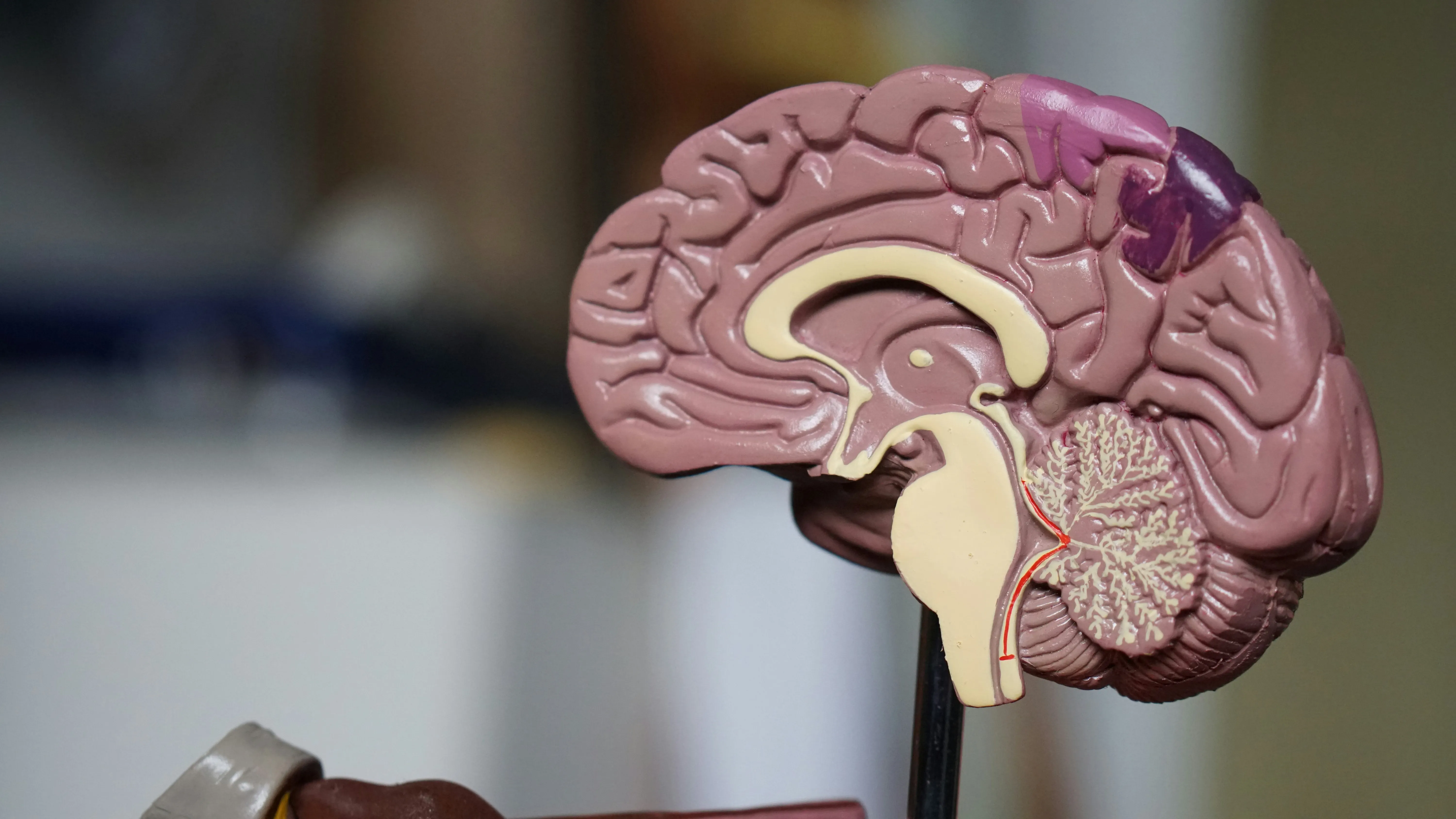 Neuromuscular Disorders