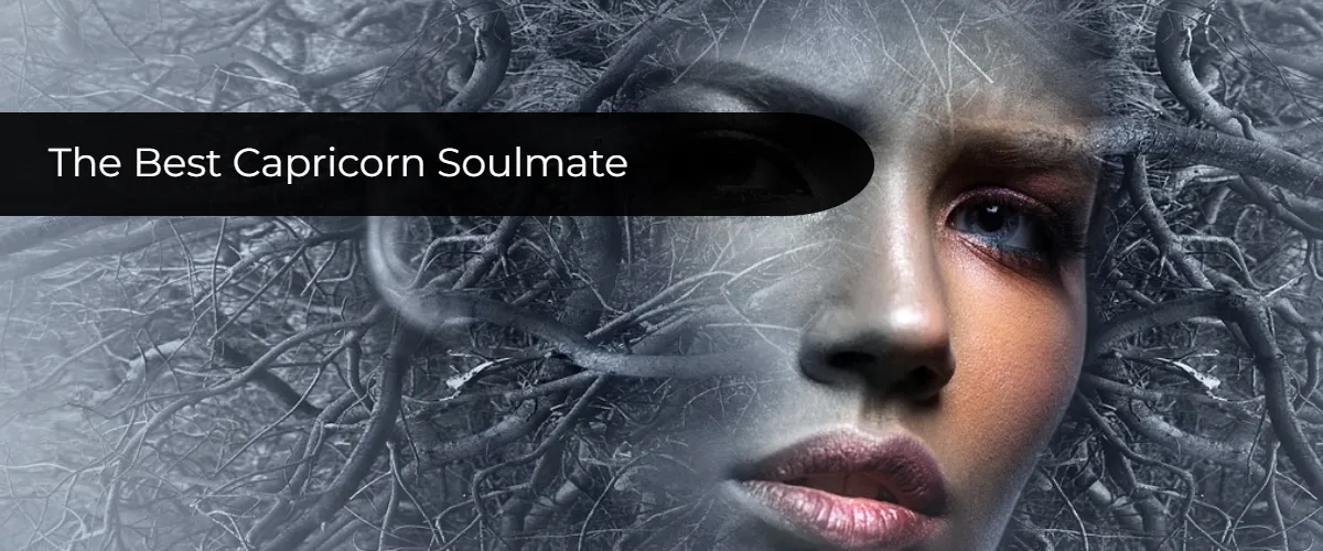 The Best Capricorn Soulmate: Zodiac Sign Soulmates And Compatibility