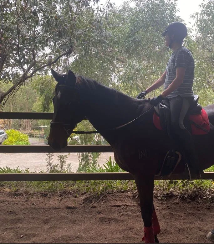 Our school horse Perry, with rider Robbie looking at a Kookaburra