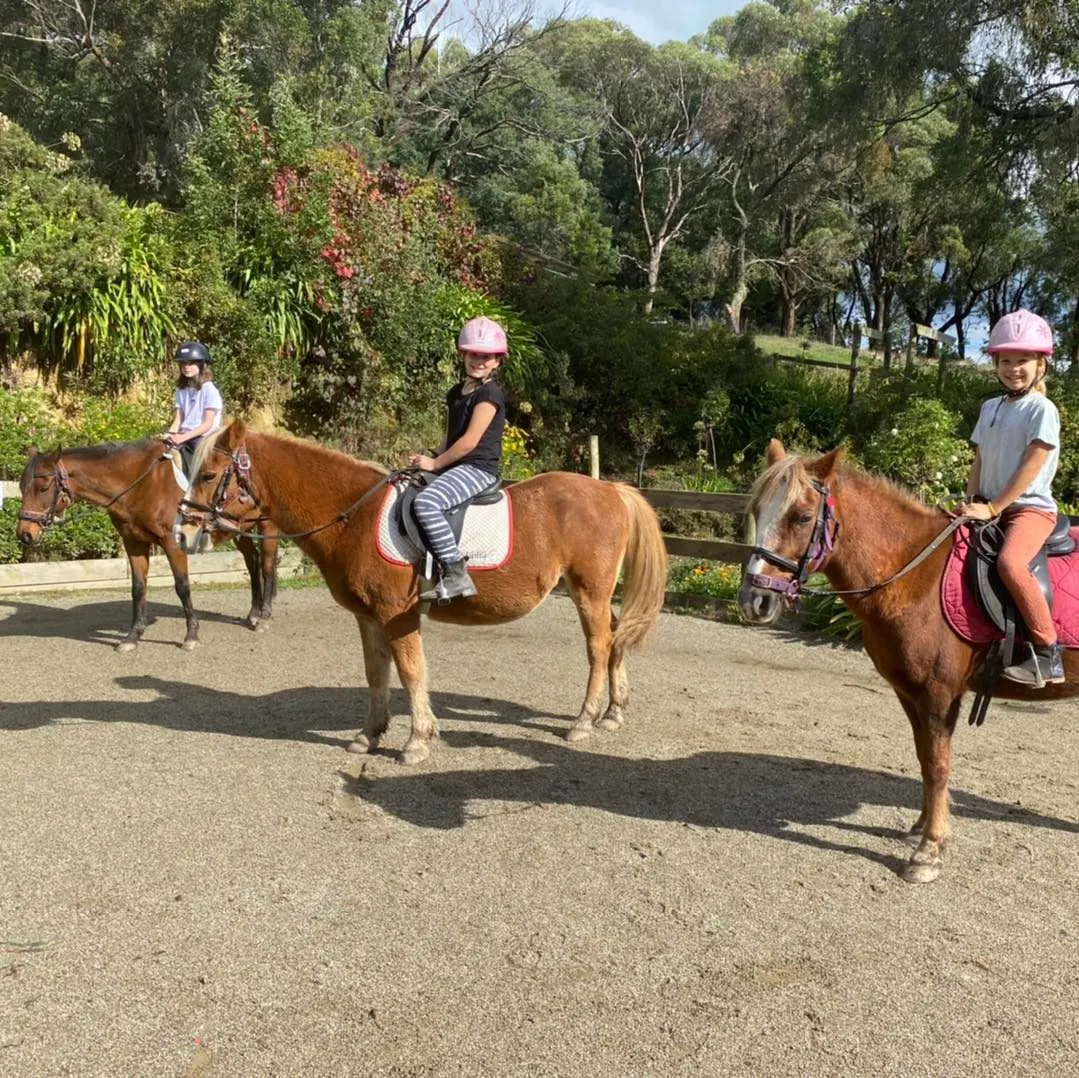 PCA group ready for their ride on our delightful school horses