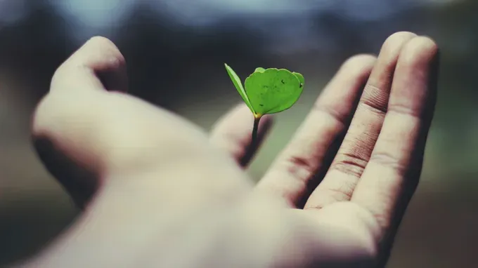 growing plants in the palm of hand