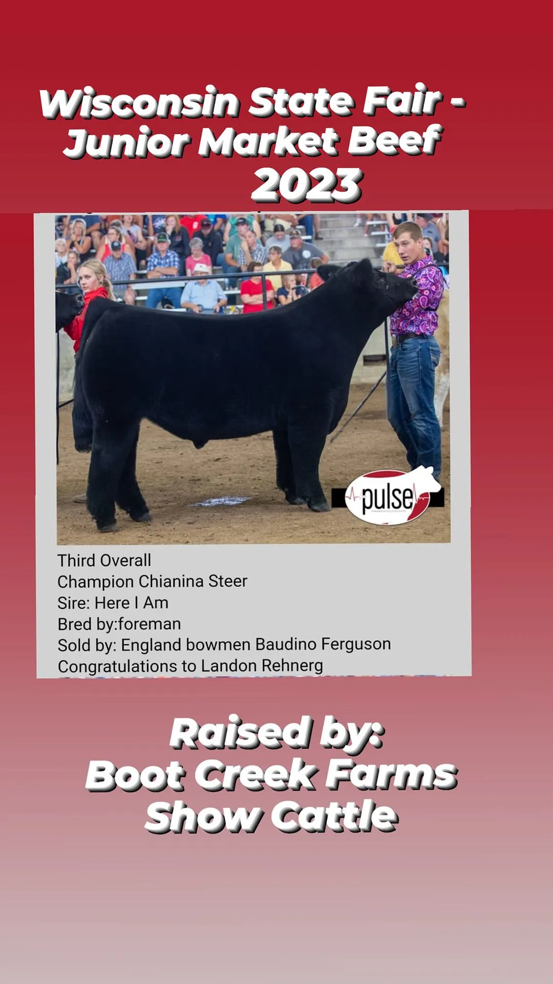 Wisconsin State Fair 2023 - Junior Market Beef - Third Overall with the Chianina - Shown by Landon Rehnerg - Sire HIA Here I Am