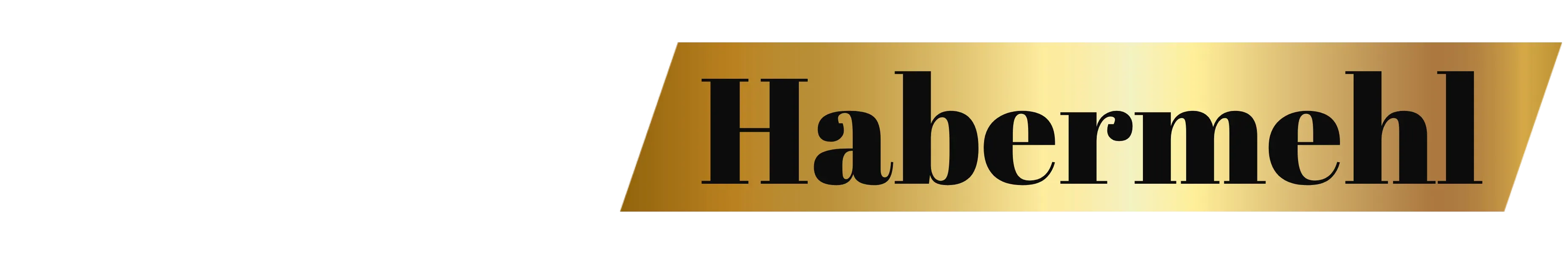 Markus Habermehl Logo 5