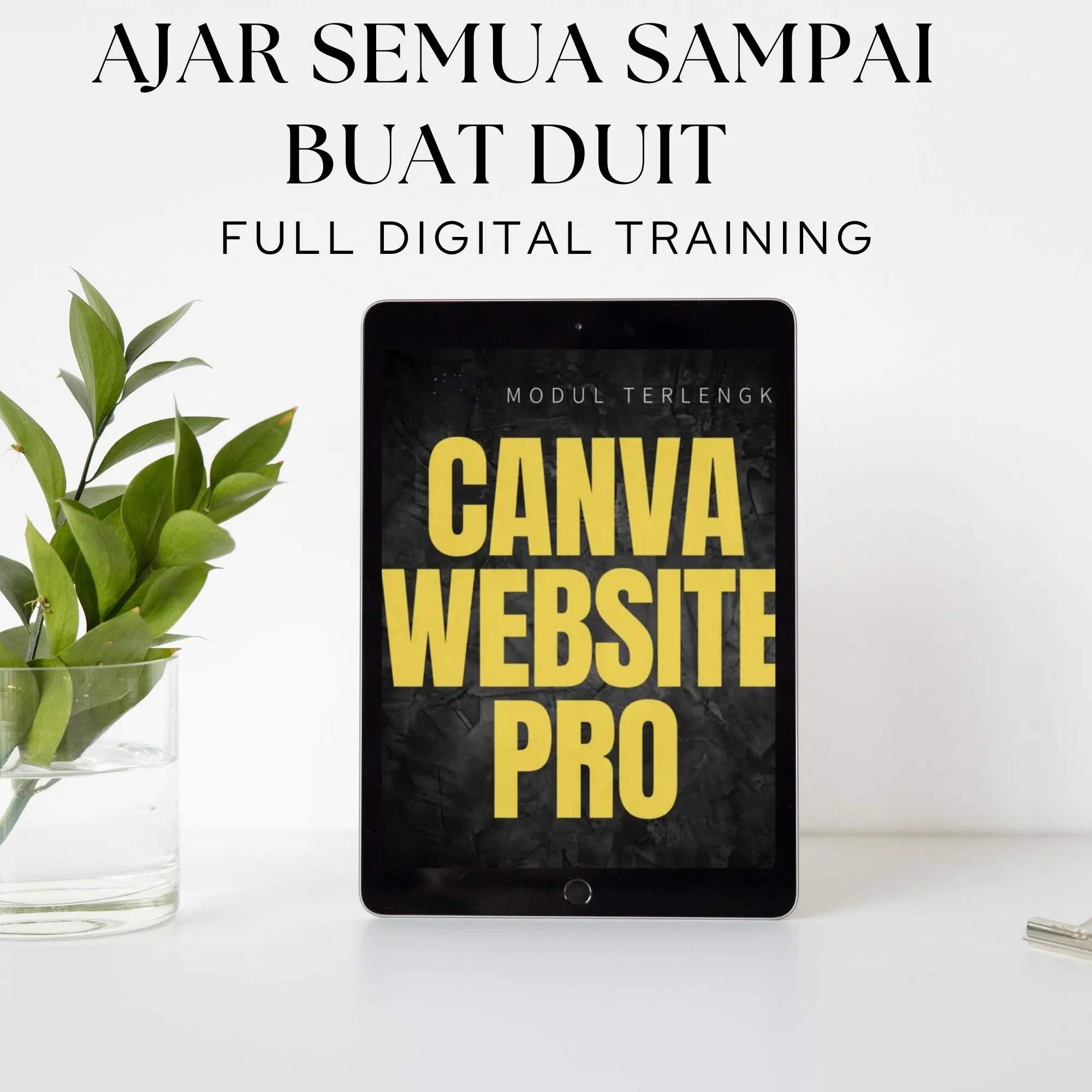 CANVA WEBSITE PRO