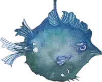 bianca-rathgeb-fisch-Illustrator