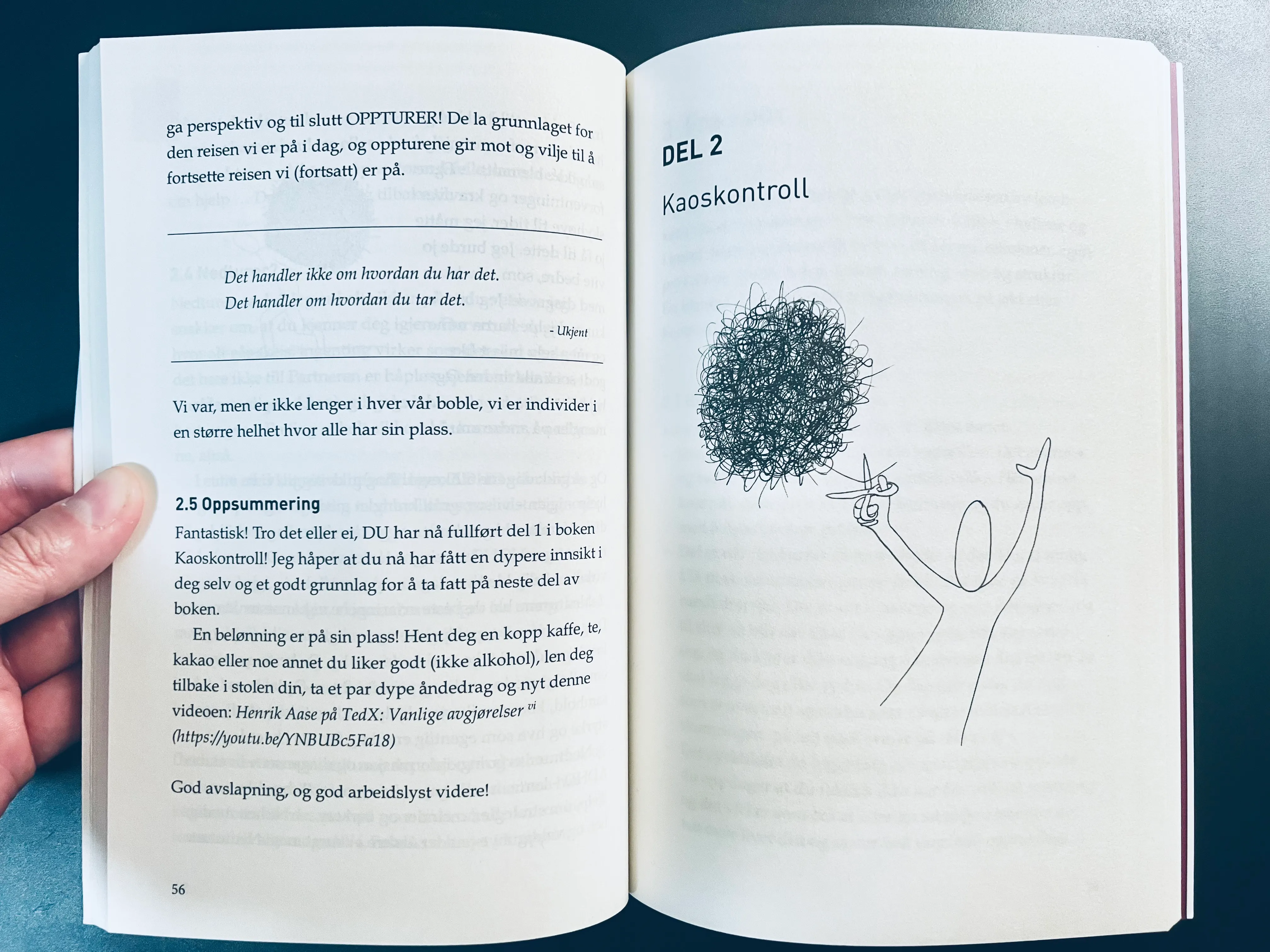 bianca-rathgeb-book-kaoskontroll-illustration