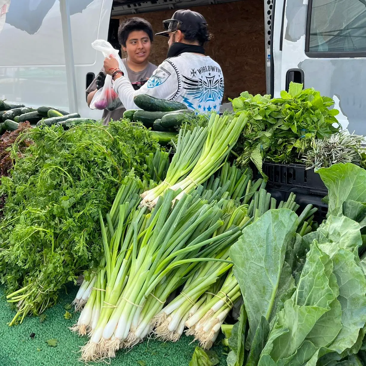 Fruit and Vegetables