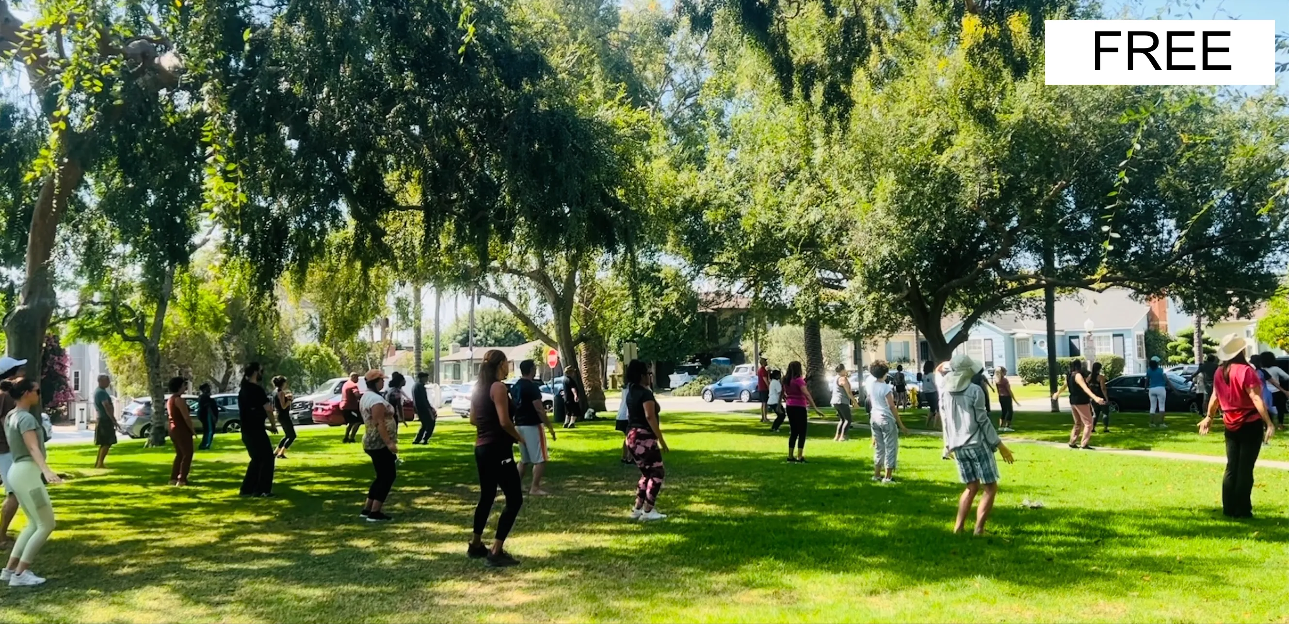 tai chi for beginners group in culver city at carlson park
