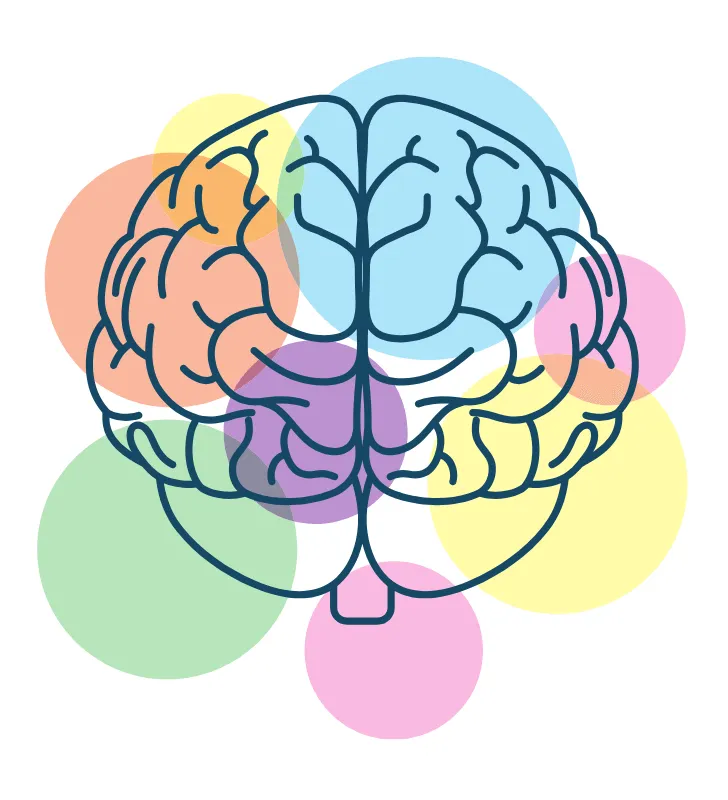 human brain - www.betterversionofyou.co