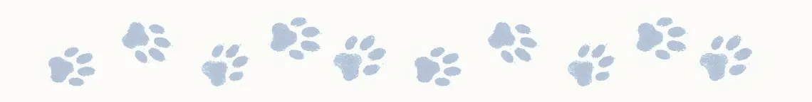 pawprints from Take Meowt to the Ballgame