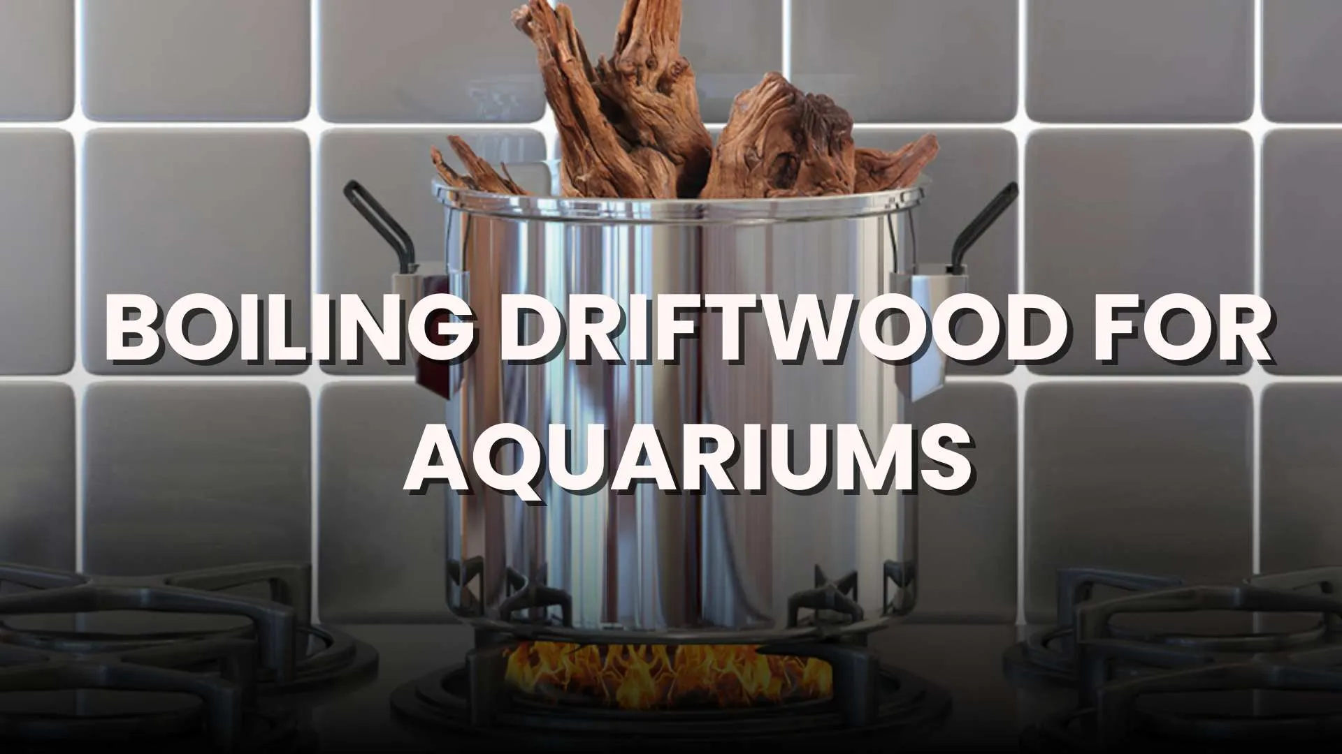 boiling driftwood for aquariums