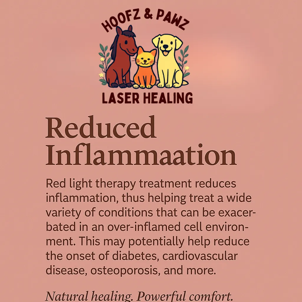 Pawz Laser Healing graphic explaining how red light therapy reduces inflammation in pets