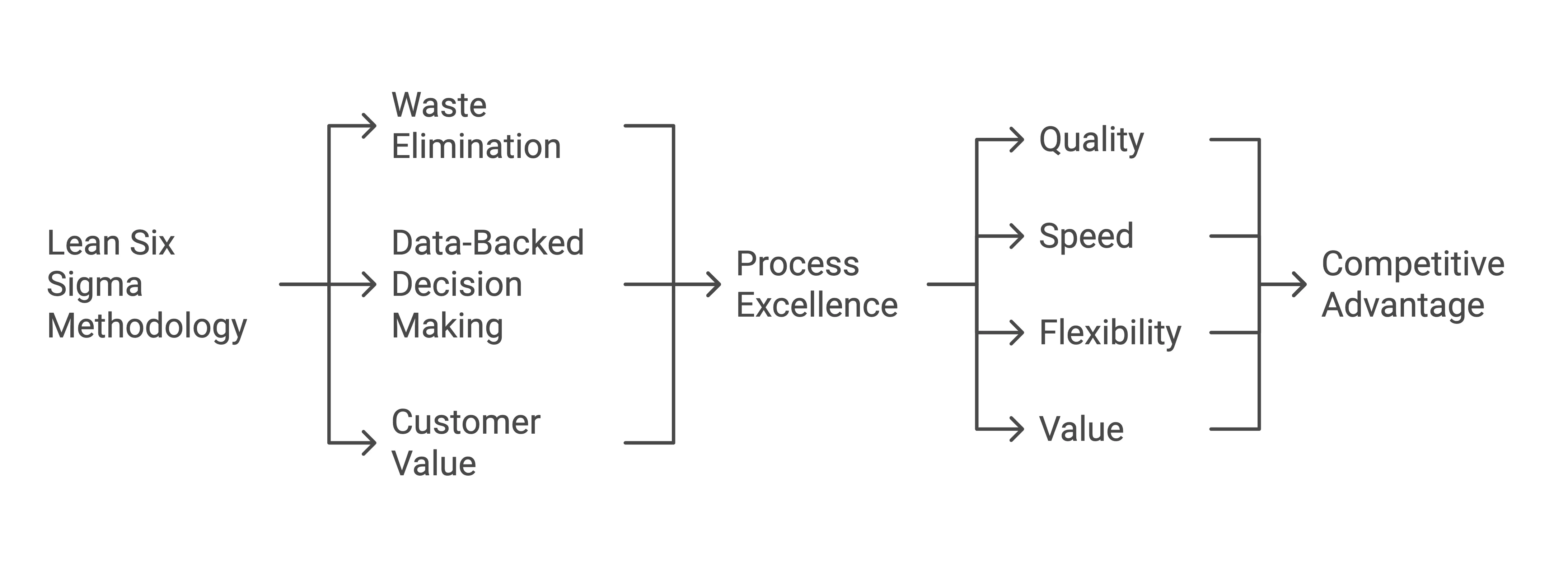 Lean Six Sigma enables organizations to achieve process excellence