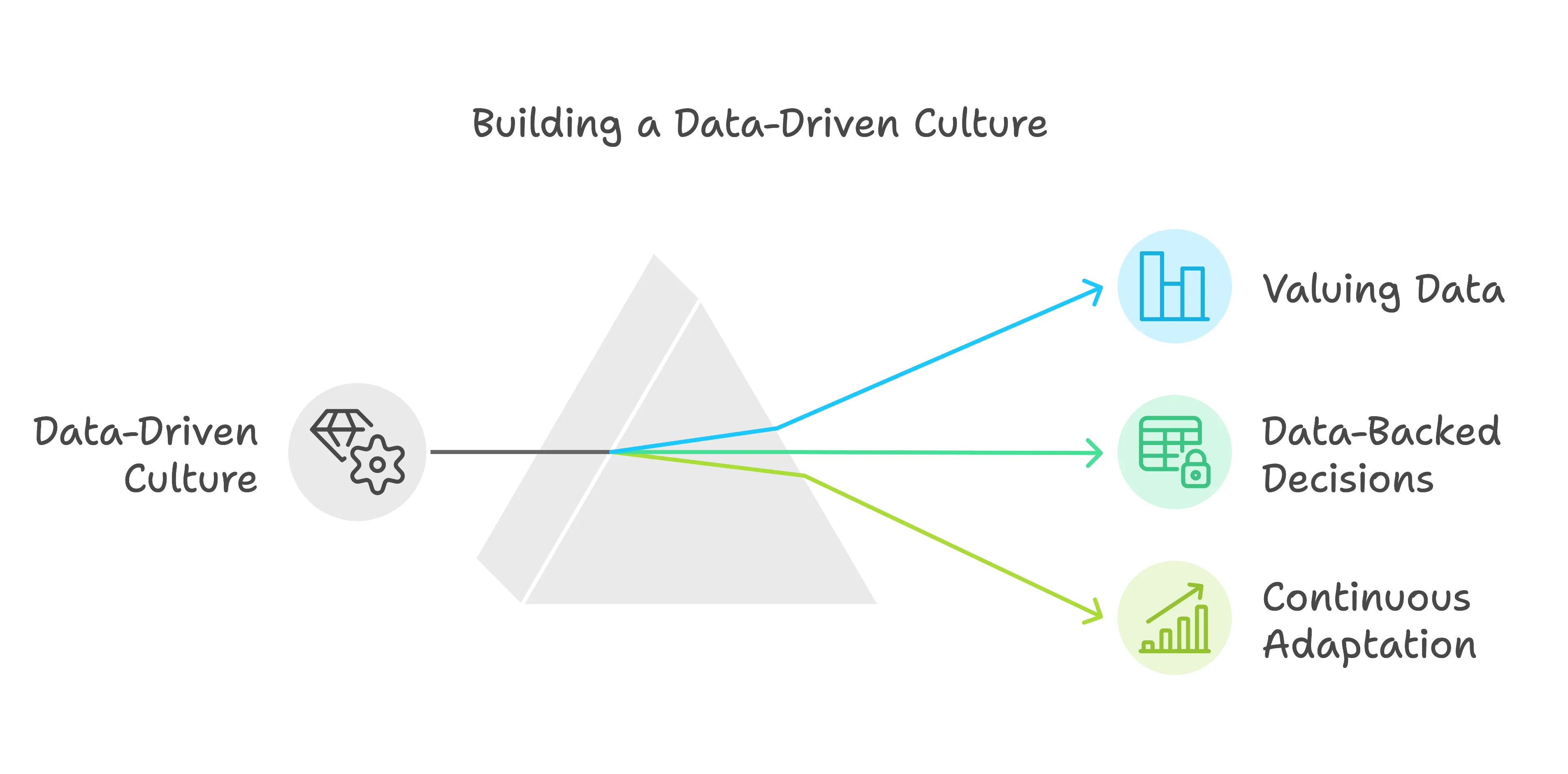 Building a Data-Driven Culture