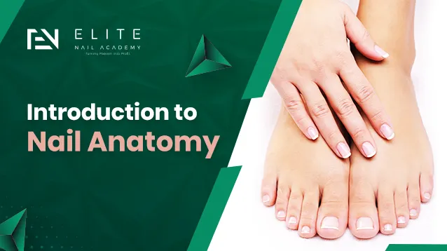 nail anatomy & disease course 
