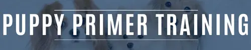 Puppy Primer Training program in Kansas City for new puppy owners focused on socialization, housebreaking, and early obedience