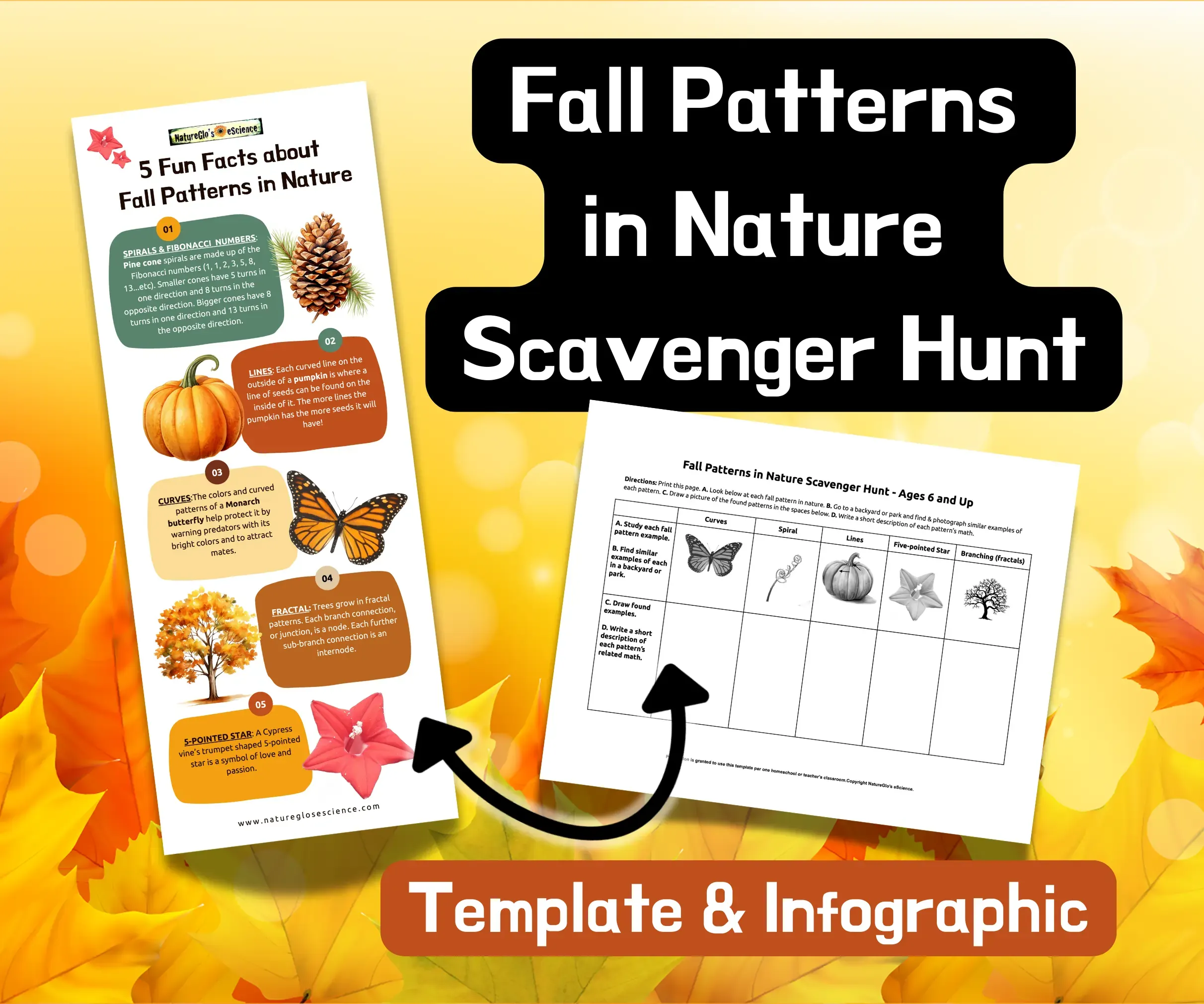 Fall Patterns in Nature Scavenger Hunt Template and Infographic