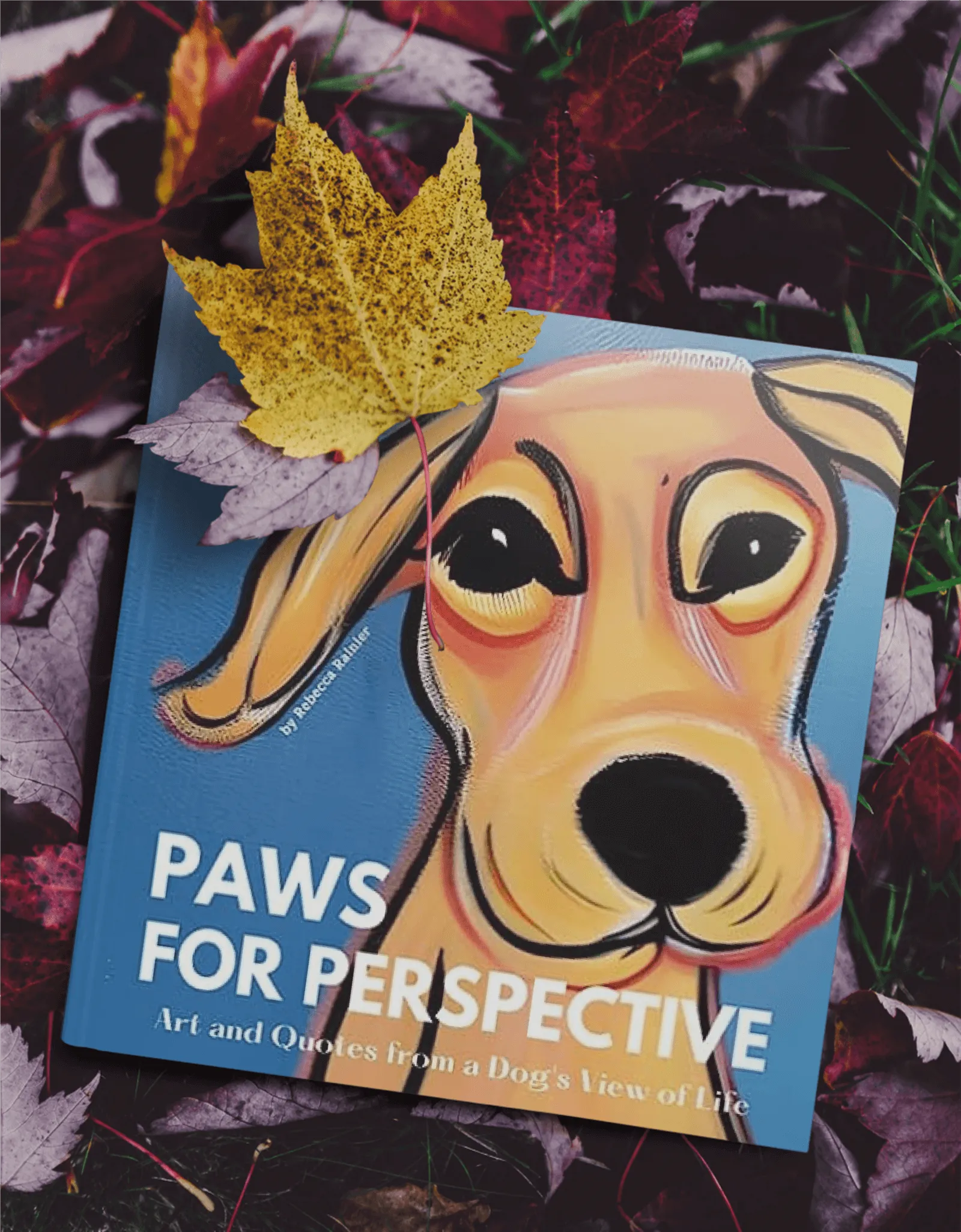 paws for perspective - funny dog coffee table book