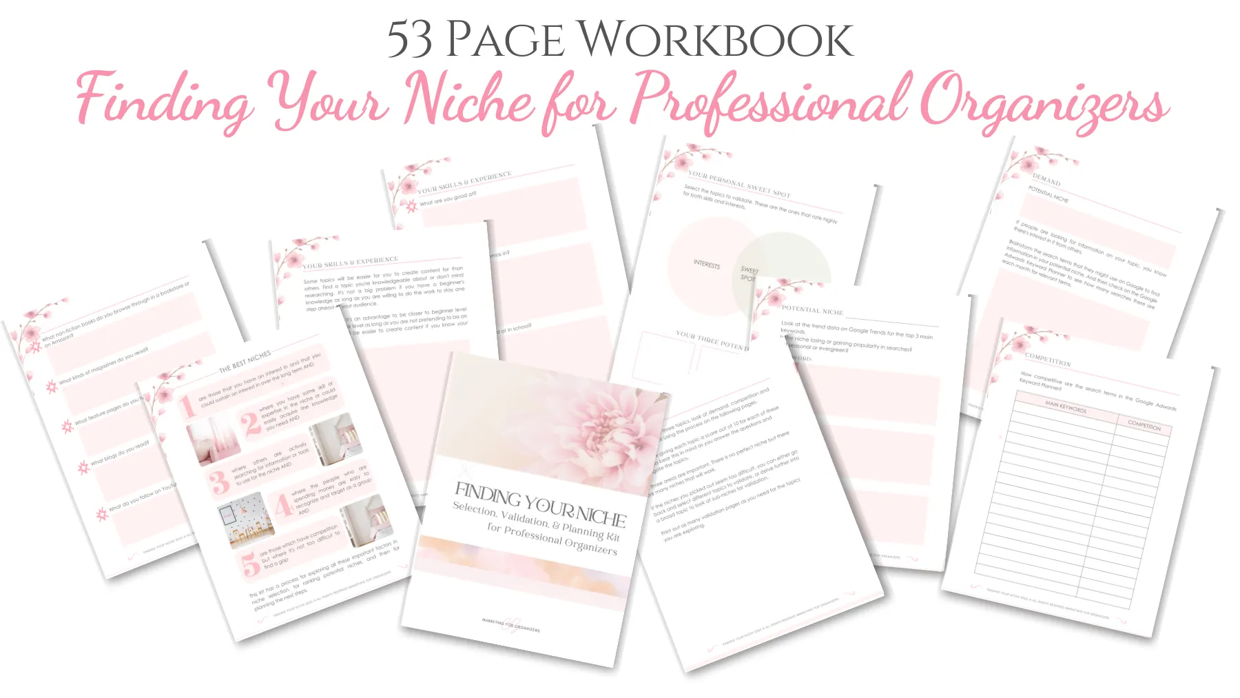 Finding Your Niche for Pro Organizers