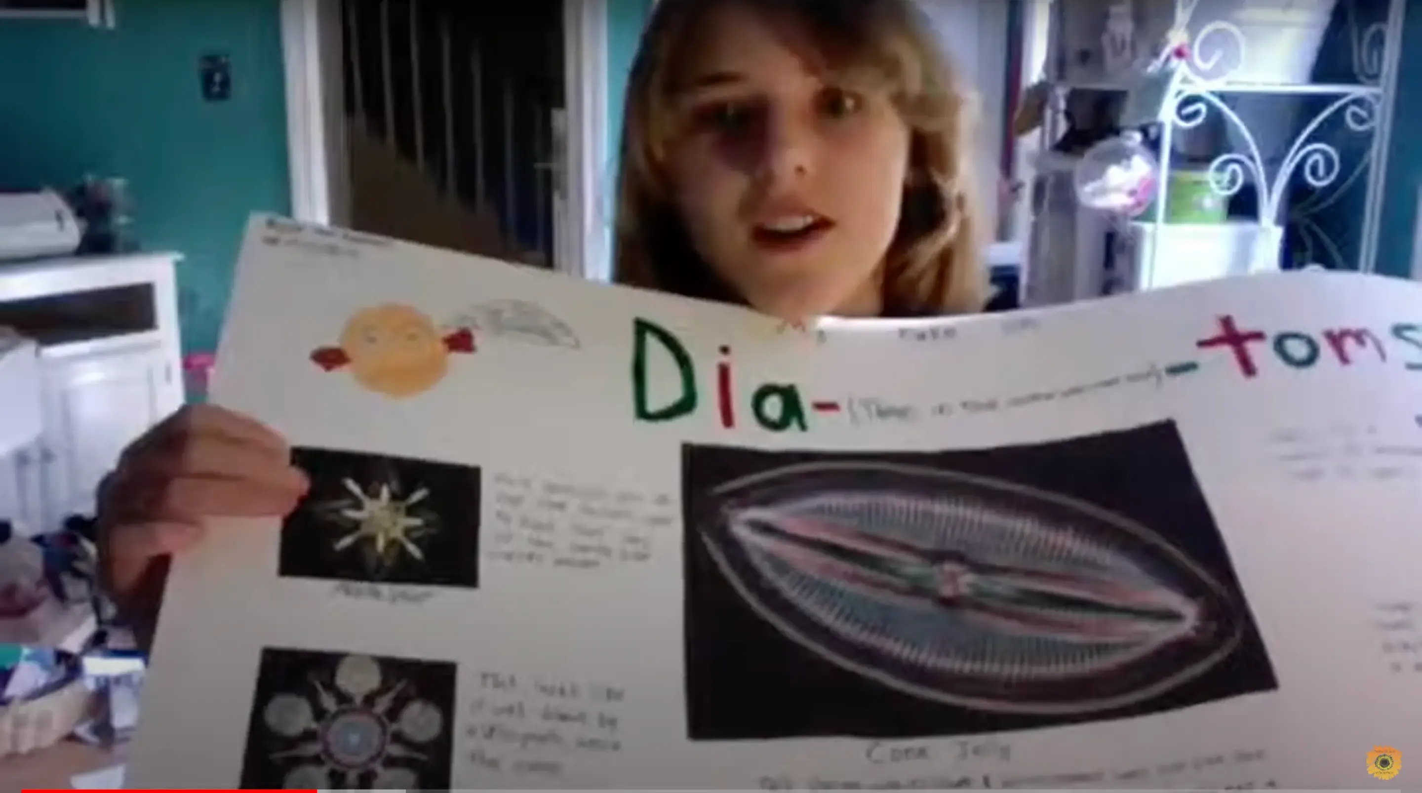 Rylie sharing her diatoms unit study 