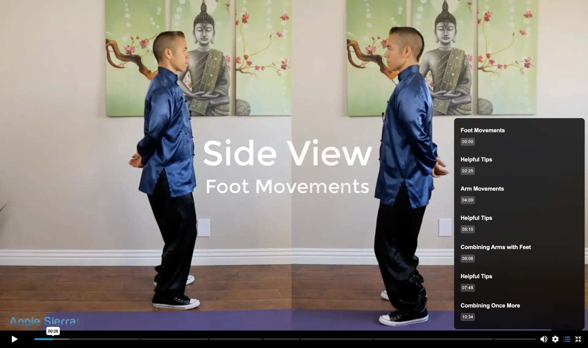 Inside the Step-by-Step Tai Chi 24 online course with multiple camera angles and easy-to-follow lessons