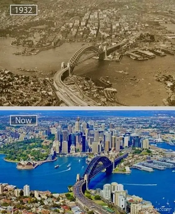 Sydney harbour CO2 and rising sea levels