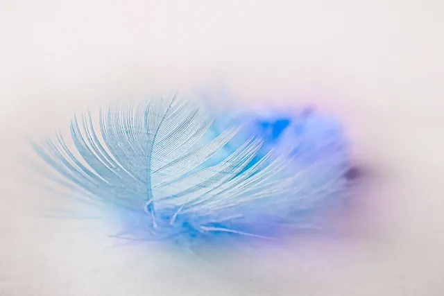 Feather