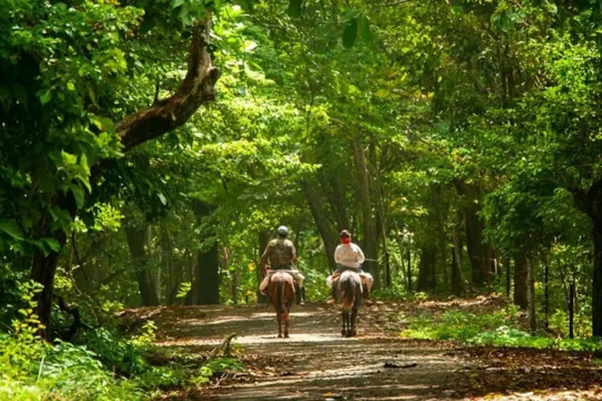 Incredible Panama - Activities Horseback Riding La Finca