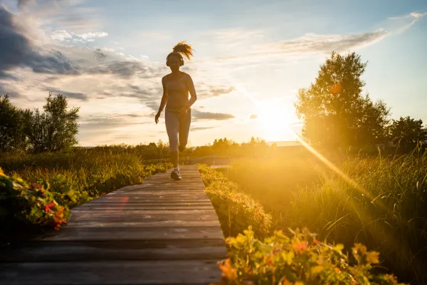 Een Holistische benadering voor Een Gezond Leven