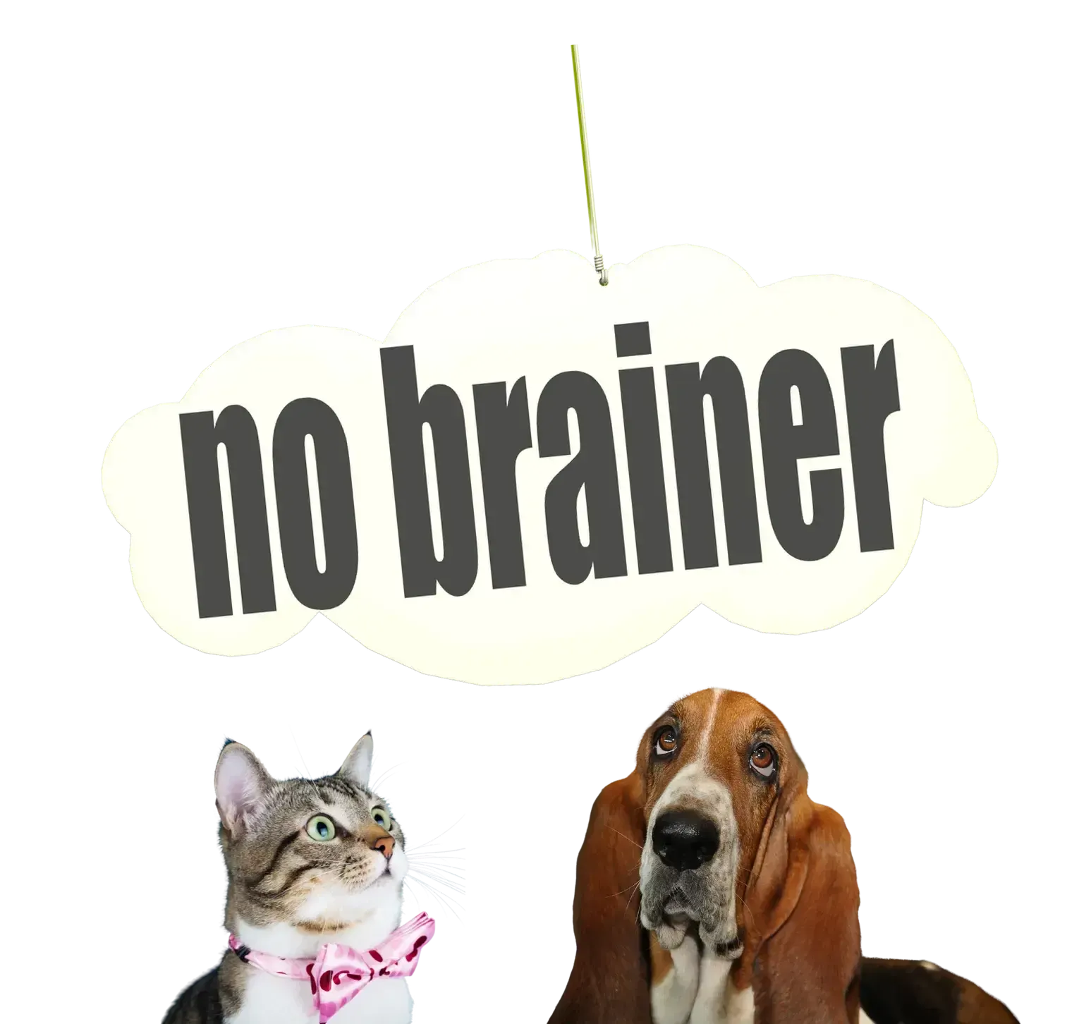 no-brainer